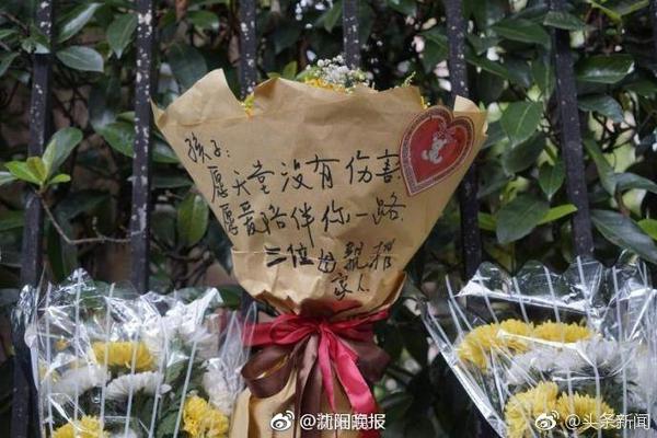 松茸是野生的还是人工种的